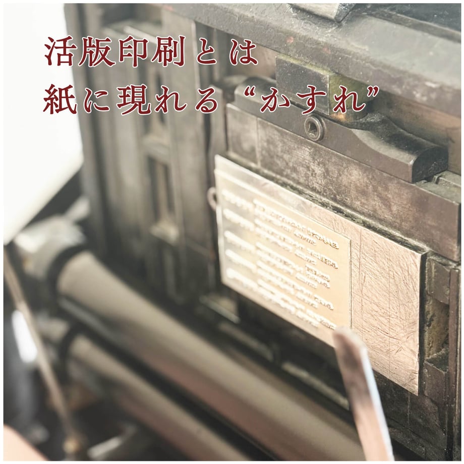 6a17fd29581657076f024ebf