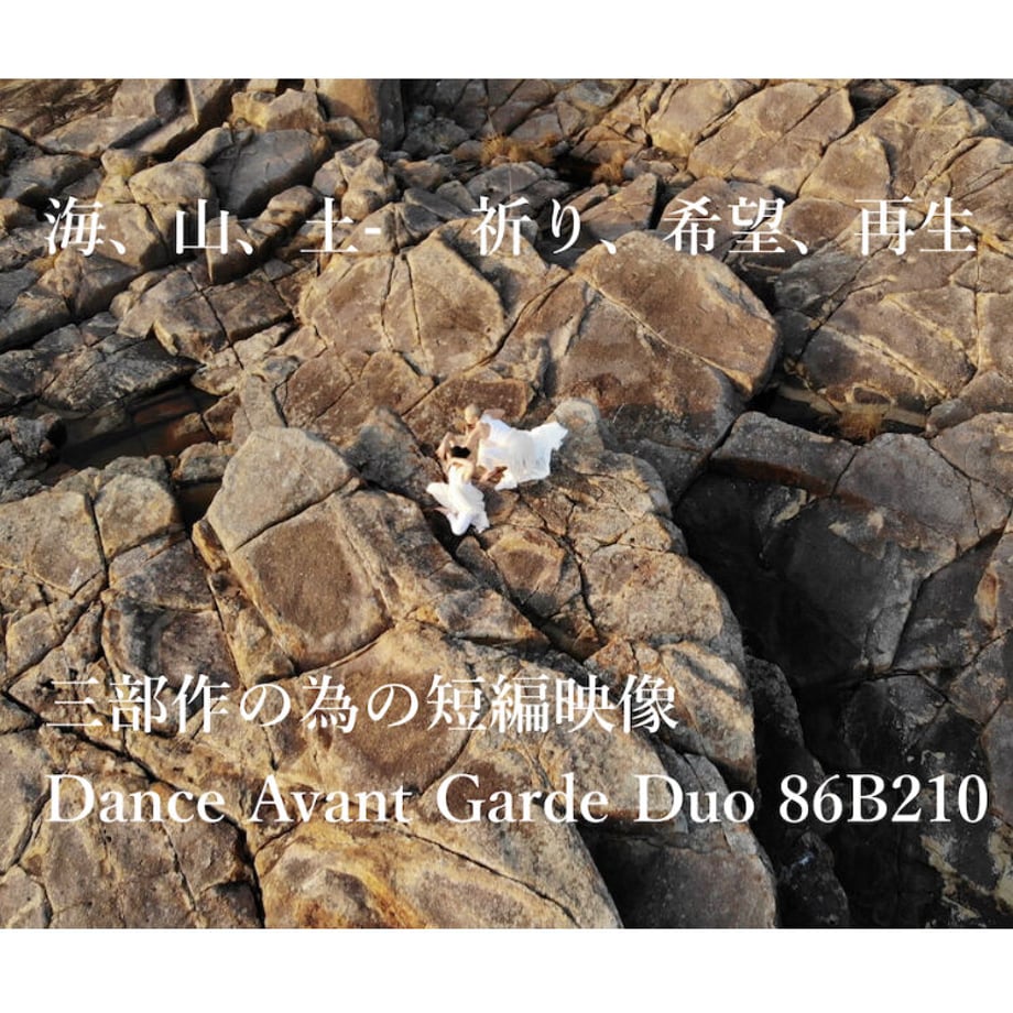 60115a696e84d5048a04ae05