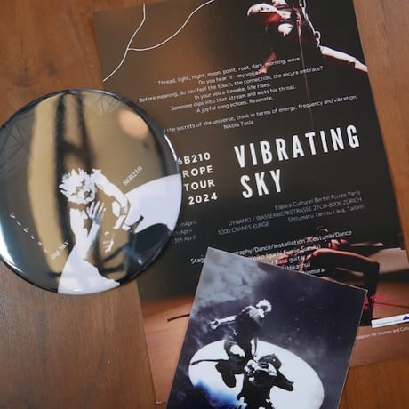 震える空〜Vibrating Sky Europe Tour Donation　5000yen