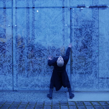 Vibrating Sky-Image short film in Estonia  Donation