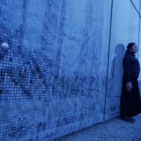 Vibrating Sky-Image short film in Estonia  Donation