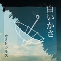 カミヒカルス / 白いかさ