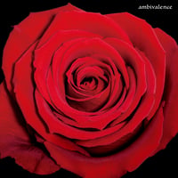 WELL DONE SABOTAGE / ambivslence