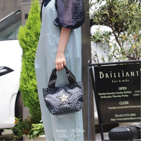 2501001 レオパードBAG“S”