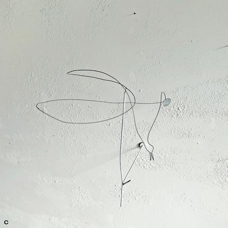 bird songs