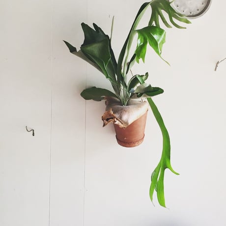 Hanging Planter Pot   (Natural/White)