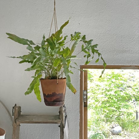 Hanging Planter Pot   (Natural/White)