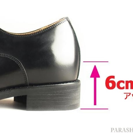 ANCIEN CREPINS 本革 ストレートチップ シークレットヒールアップ ビジネスシューズ 黒・ワイン・キャメル 3E 23.5～26.5cm【小さいサイズあり/革靴】 (MK-KT1301)