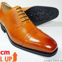 A・CREPINS 本革 ストレートチップ シークレットヒールアップ（+6cmアップ）ビジネスシューズ キャメル ワイズ3E 23.5cm、24cm【小さいサイズ靴/KT1301-CAM】