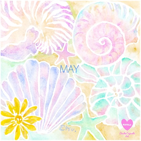 原画：5月conchoidal pattern