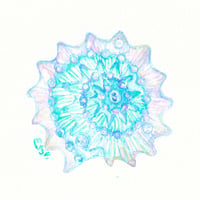 原画：April2026