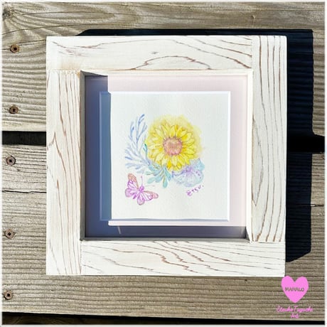 原画：8月Sunflower　coral　reef