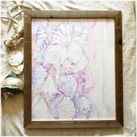 原画：Purple shells
