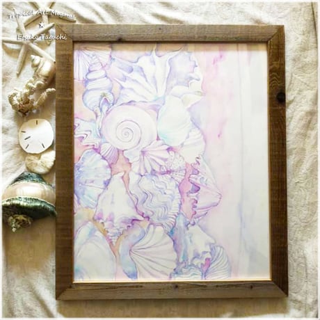 原画：Purple shells