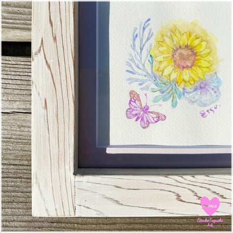 原画：8月Sunflower　coral　reef