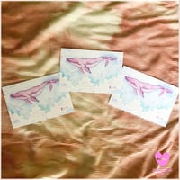 pinkのクジラさんポストカード