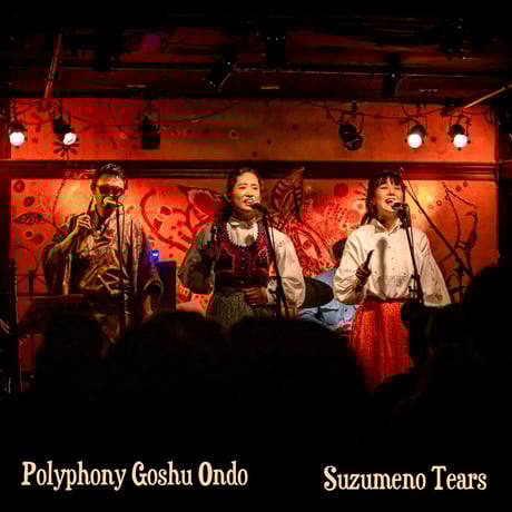 すずめのティアーズ LP レコード 新品未開封 CATEGORY すずめのティアーズ / Suzumeno Tears | DOYASA! R