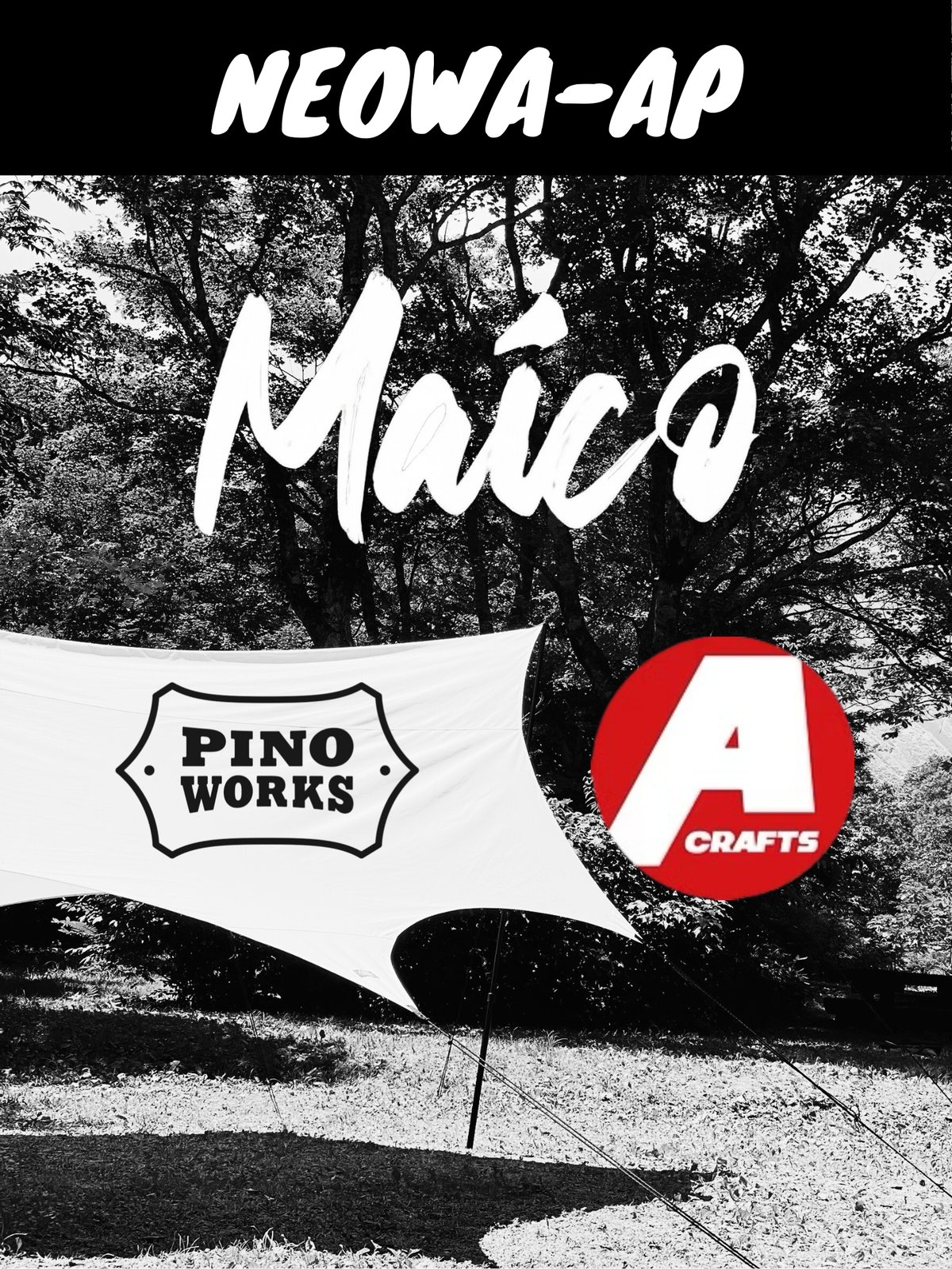 NEOWA-AP | pinoworks