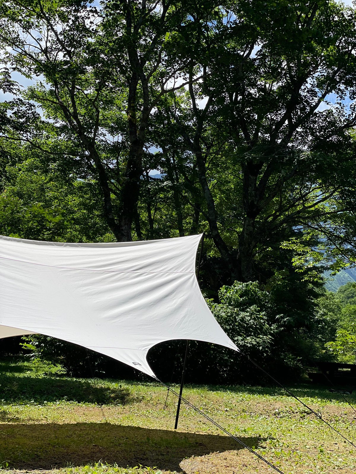 momo_10kiro maico ノワタープ NEOWA マスタード ノワ (NEOWA