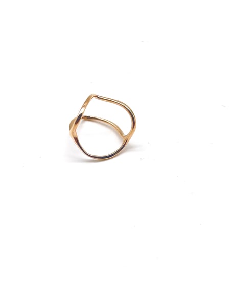 Final Orders No Restock　RINKAKU ring　k10
