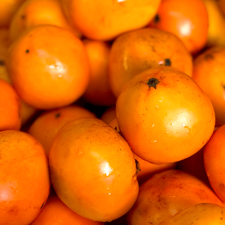 【限定販売】frui（フリュイ）「花御所柿」のジャム（180g）1個単品