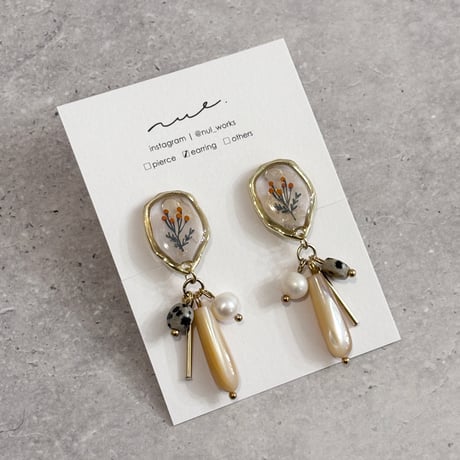 mimosa｜shell drop