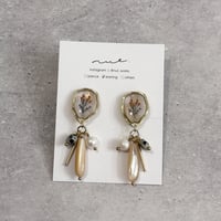 mimosa｜shell drop