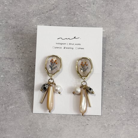 mimosa｜shell drop