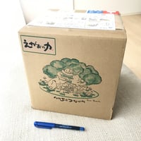 えがおの力１0L （多目的洗剤）