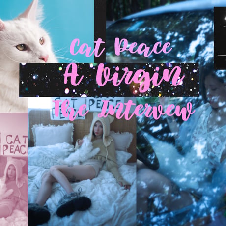 【W付録  STANCE ソックス＋CAT TOY🌹💗】 Sandy magazine（サンディマガジン） vol.17