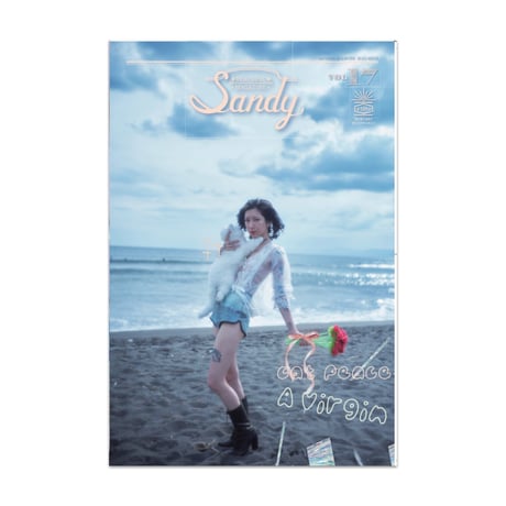 【W付録  STANCE ソックス＋CAT TOY🌹💗】 Sandy magazine（サンディマガジン） vol.17
