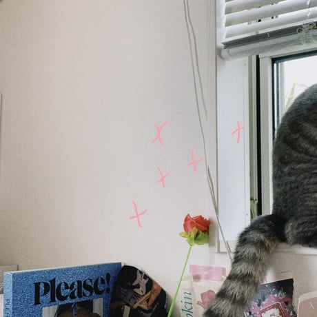 【W付録  STANCE ソックス＋CAT TOY🌹💗】 Sandy magazine（サンディマガジン） vol.17