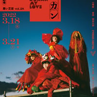 【DVD】vol.28 愛しのボカン