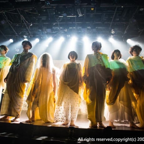 【DVD】vol.19 罠々