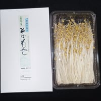 津軽平野のそばもやし300g×3パック | あすなろ理研株式会社｜青森県産