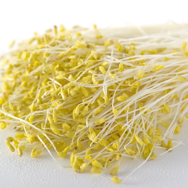 津軽平野のそばもやし300g×6パック | あすなろ理研株式会社｜青森県産