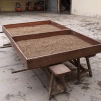 自家焙煎　マンデリン　ビンタンリマ100ｇ
