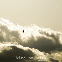 Bird on Wire / aeronauts