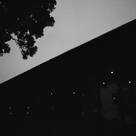 When skin has eyes / Benjamin Hosking