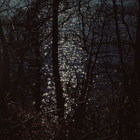 When skin has eyes / Benjamin Hosking