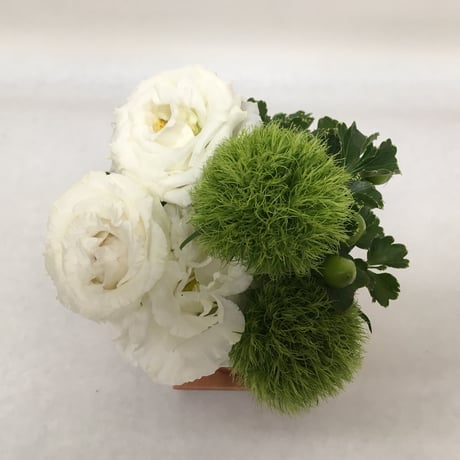 《花と漆器と色》クリスマス（冬）
