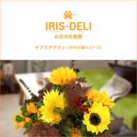 お花の定期便　IRIS-DELI（サブスクプラン・平日お届けコース）
