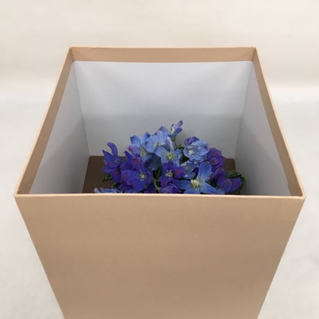 《花と漆器と色》秋晴（秋）