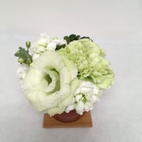 《花と漆器と色》涼味（夏）