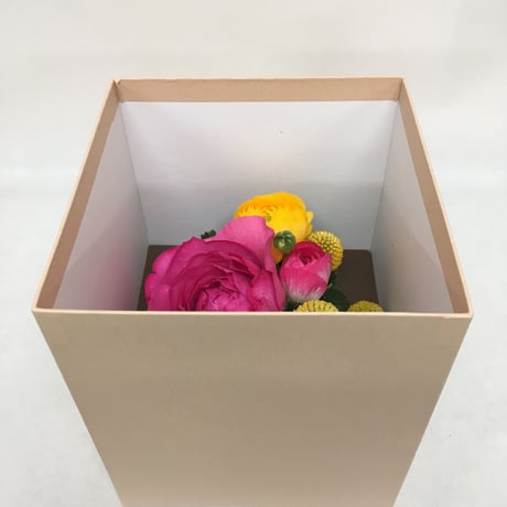 《花と漆器と色》咲（春）