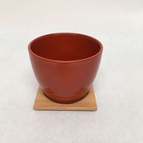 《花と漆器と色》涼味（夏）