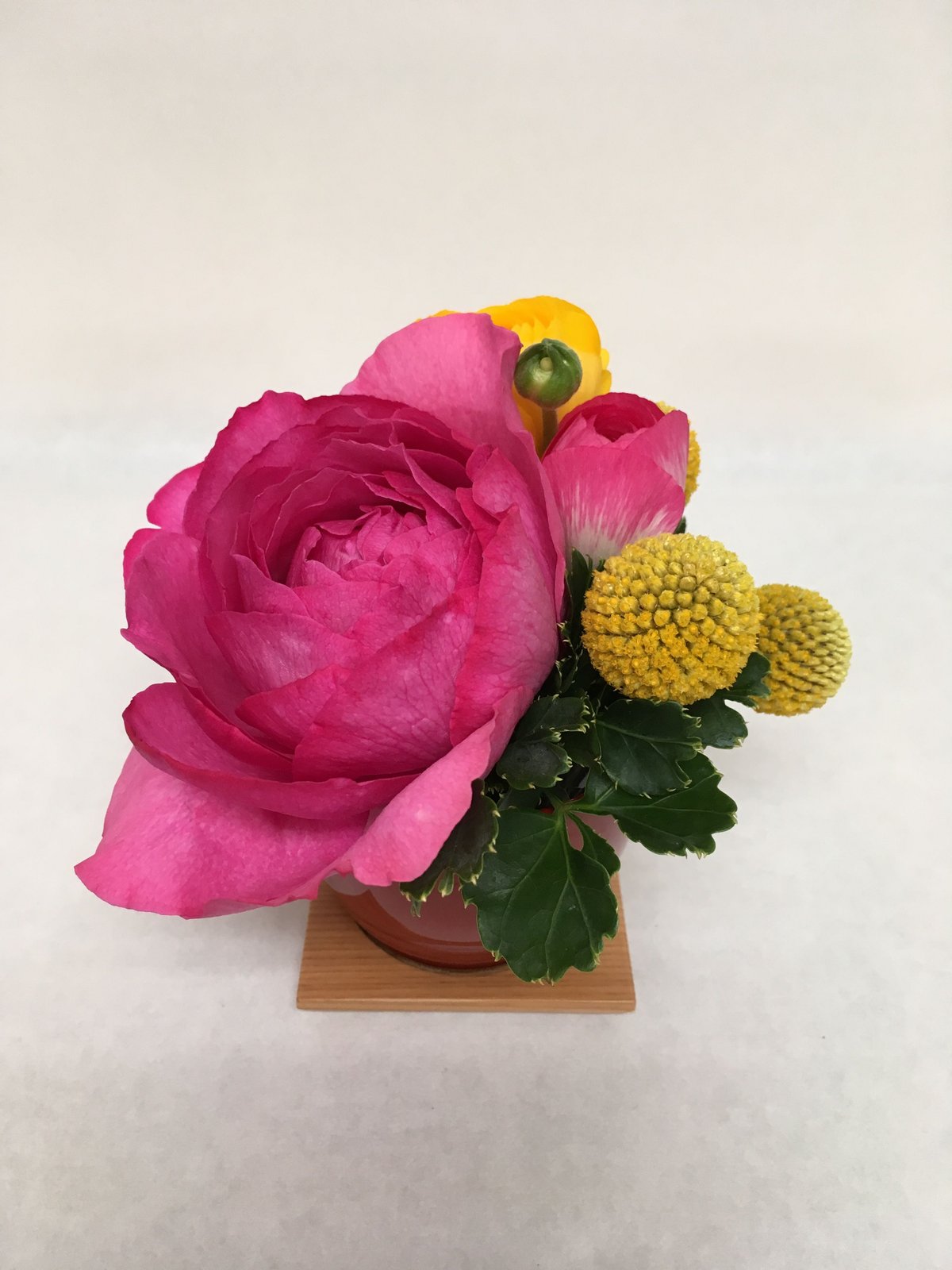 漆器茶器セット 花柄 赤色 中国茶器(台湾茶器) 花布柄 茶器セット 赤茶壷セット