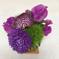 《花と漆器と色》和