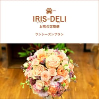 お花の定期便　IRIS-DELI（ワンシーズンプラン）