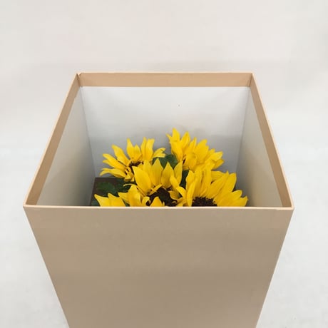 《花と漆器と色》元気（夏）